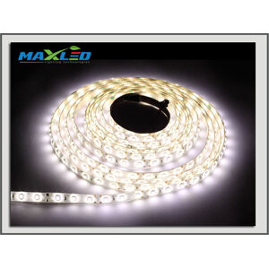 LED pás Max-Led 300SMD 5986 50W 5m studená bílá 6000 K